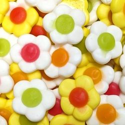Marguerites DAISIES (100g)