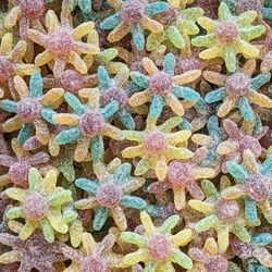OCTOPUS pieuvre acidulée sucrée (100g)