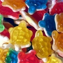 Tortues LISSES (100g)